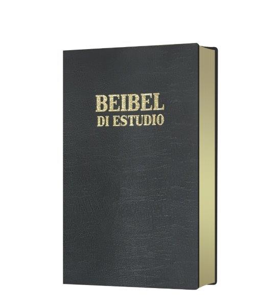 Beibel di Estudio zonder DC 3d b