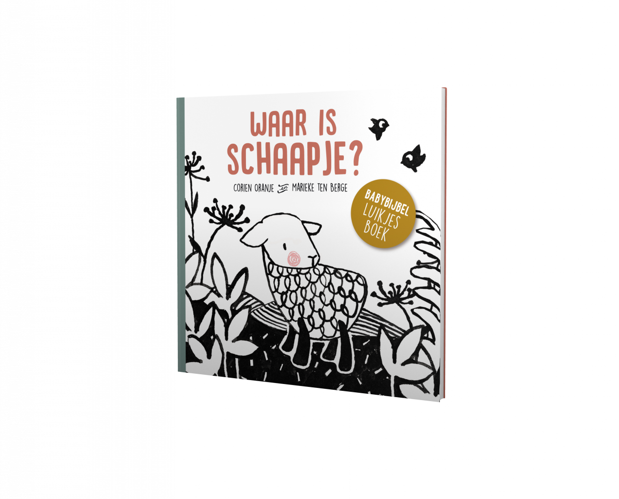 Waar is schaapje? Waar is schaapje?